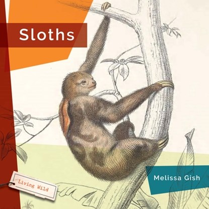 Sloths, Melissa Gish - Gebonden - 9781640268074