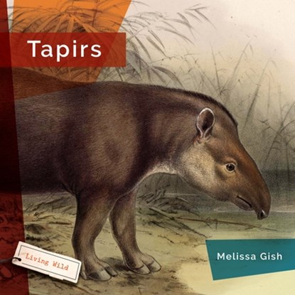 Tapirs, Melissa Gish - Gebonden - 9781640268104