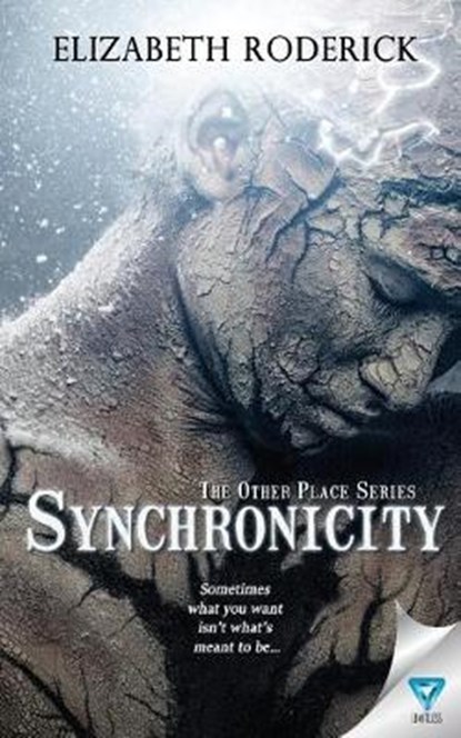 Synchronicity, Elizabeth Roderick - Paperback - 9781640340565