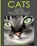 Cats, Ace McCloud - Paperback - 9781640480100