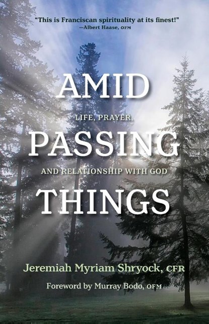 Amid Passing Things, Jeremiah Shryock - Paperback - 9781640602205