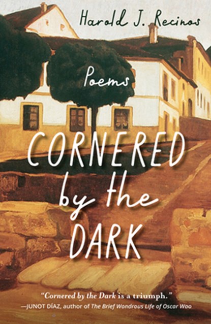 Cornered by the Dark, Harold J. Recinos - Paperback - 9781640604292