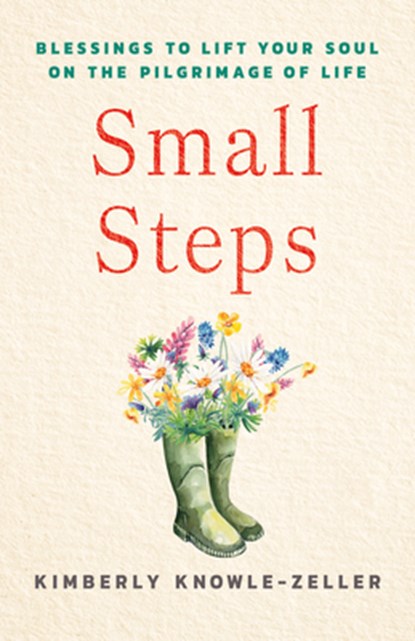 Small Steps, Kimberly Knowle-Zeller - Paperback - 9781640659520