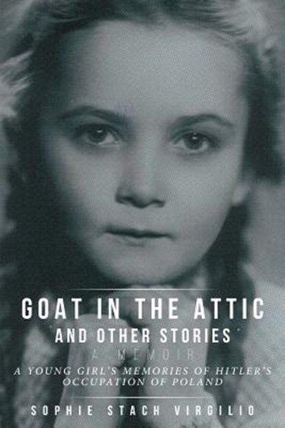 Goat in the Attic and Other Stories, Sophie Stach Virgilio - Paperback - 9781640965720