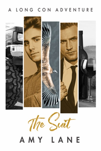 The Suit: Volume 4, Amy Lane - Paperback - 9781641083768
