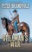 Stillman's War, Peter Brandvold - Paperback - 9781641196307