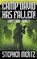Camp David Has Fallen!, Stephen Mertz - Paperback - 9781641196598