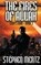 The Fires of Allah, MERTZ,  Stephen - Paperback - 9781641199674