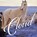 Cloud, Ginger Kathrens - Paperback - 9781641240130