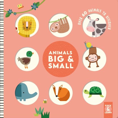 Animals Big & Small, Rebecca Weerasekera - Gebonden - 9781641243933