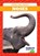 Noses, Jenna Lee Gleisner - Paperback - 9781641287036