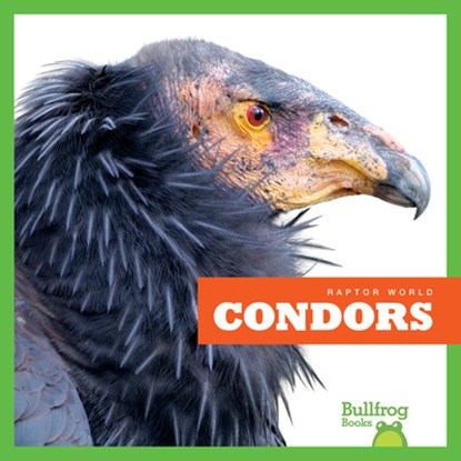 Condors, Jenna Lee Gleisner - Paperback - 9781641288194