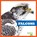 Falcons, Jenna Lee Gleisner - Paperback - 9781641288217