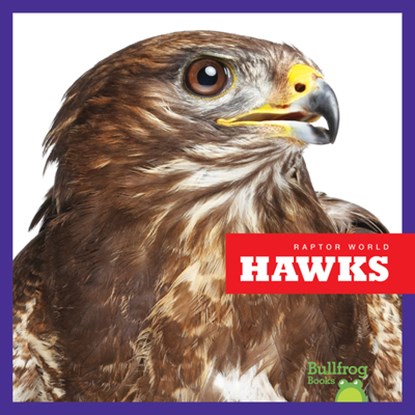 Hawks, Jenna Lee Gleisner - Paperback - 9781641288224