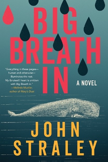Big Breath In, John Straley - Paperback - 9781641297394