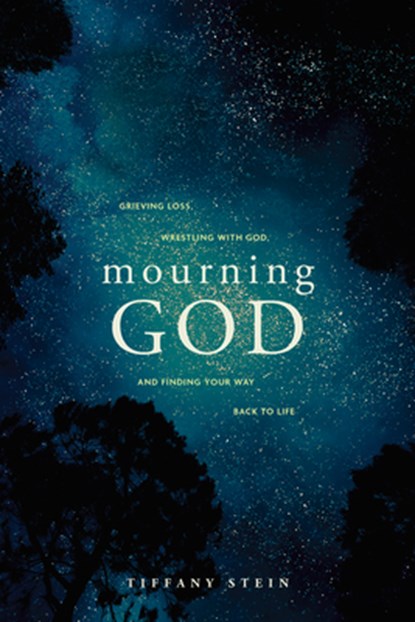 Mourning God, Tiffany Stein - Paperback - 9781641589833