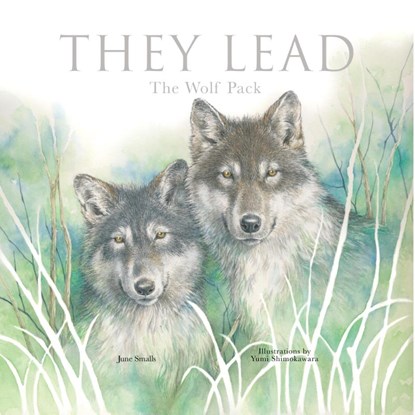 They Lead, June Smalls - Gebonden - 9781641709743