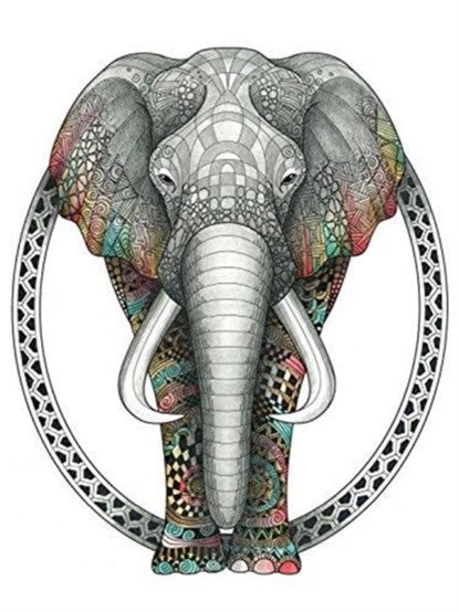 TangleEasy Lined Journal Elephant, Ben Kwok - Gebonden - 9781641780100