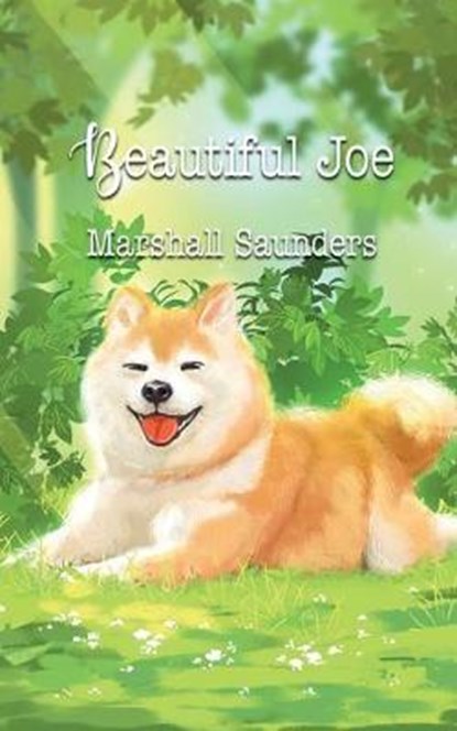 Beautiful Joe, Saunders Marshall Saunders - Paperback - 9781641815802