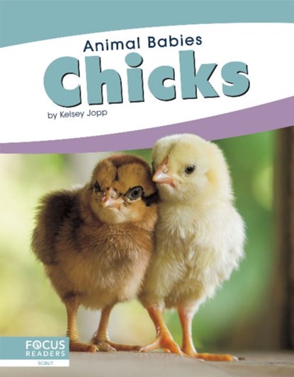 Chicks, Kelsey Jopp - Gebonden - 9781641857444