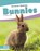 Animal Babies: Bunnies, Kelsey Jopp - Paperback - 9781641858120