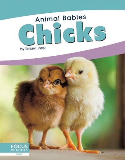 Animal Babies: Chicks, Kelsey Jopp - Paperback - 9781641858137
