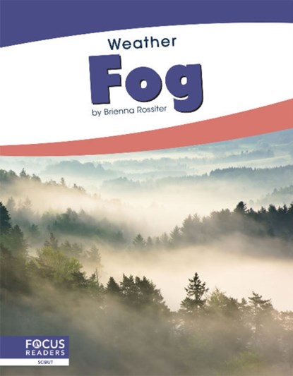 Fog, Brienna Rossiter - Paperback - 9781641858588
