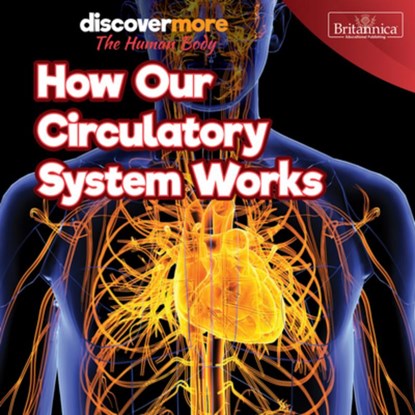 How Our Circulatory System Works, Dwight Morris - Gebonden - 9781641904377