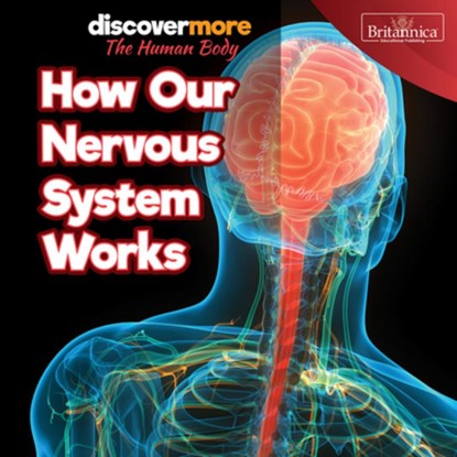 How Our Nervous System Works, Dwight Morris - Gebonden - 9781641904469