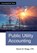 Public Utility Accounting, Steven M. Bragg - Paperback - 9781642211436