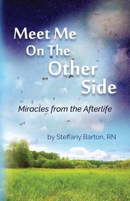 Meet Me On the Other Side, BARTON,  Steffany, RN - Paperback - 9781642370102