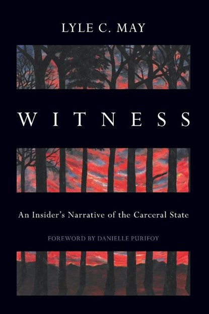 Witness, Lyle C. May - Paperback - 9781642599718