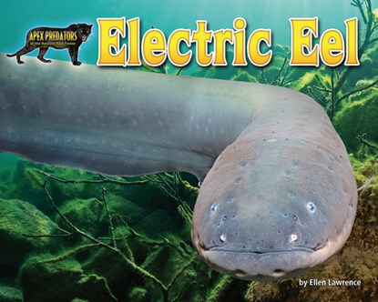 Electric Eel, Ellen Lawrence - Paperback - 9781642807462