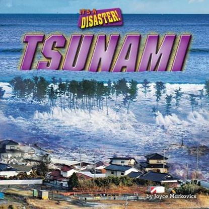 Tsunami, MARKOVICS,  Joyce - Paperback - 9781642808452