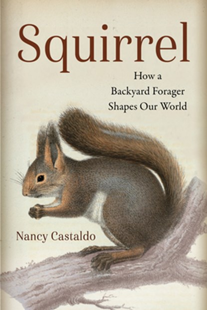 Squirrel, Nancy Castaldo - Gebonden - 9781642833751