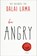 Be Angry, Dalai Lama - Paperback - 9781642970074