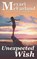 Unexpected Wish, Meyari McFarland - Paperback - 9781643092133