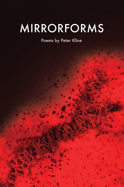 Mirrorforms, Peter Kline - Paperback - 9781643171302