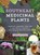SOUTHEAST MEDICINAL PLANTS, Coreypine Shane - Paperback - 9781643260075