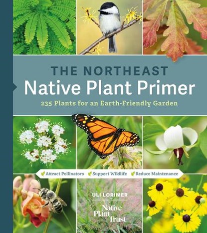The Northeast Native Plant Primer: 235 Plants for an Earth-Friendly Garden, Uli Lorimer - Paperback - 9781643260464