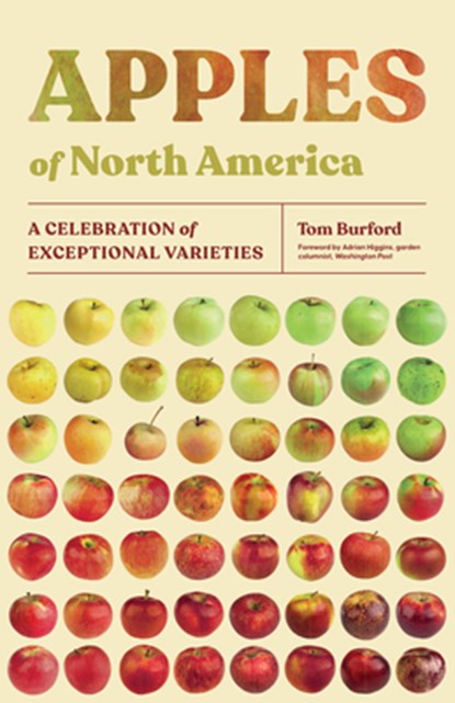 Apples of North America: A Celebration of Exceptional Varieties, Tom Burford - Paperback - 9781643261171