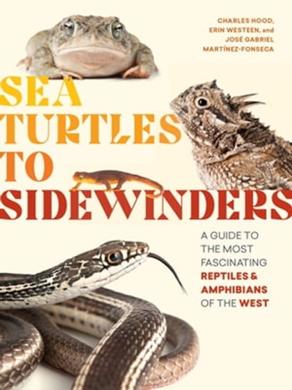 Sea Turtles to Sidewinders, Charles Hood ; Erin Westeen ; Jose Gabriel Martinez-Fonseca - Ebook - 9781643261270