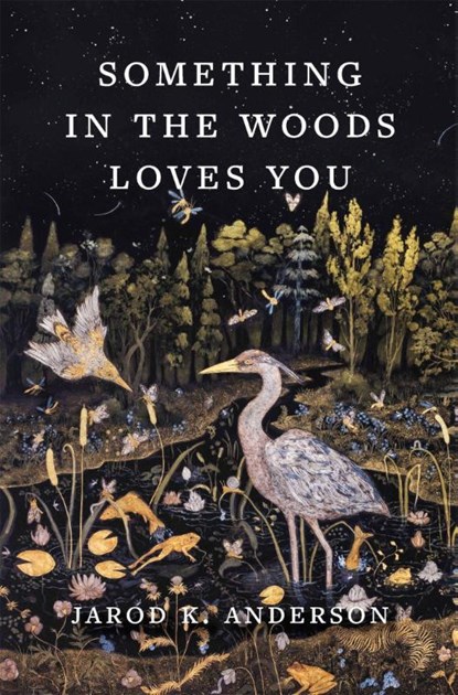Something in the Woods Loves You, Jarod K. Anderson - Gebonden - 9781643262291