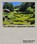 The Modern Japanese Garden, Stephen Mansfield - Gebonden - 9781643265759