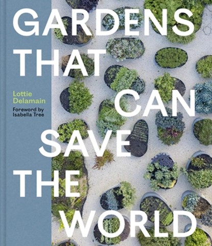 Gardens That Can Save the World, Lottie Delamain - Gebonden - 9781643266374