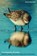 The Empathy Paradox, Rachel McCabe - Gebonden - 9781643365848