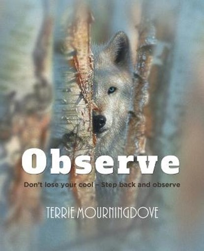 Observe, MOURNINGDOVE,  Terrie - Paperback - 9781643454986