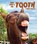 And That's the Tooth, FIELDS,  Terri - Paperback - 9781643518251