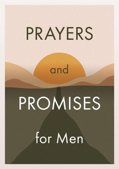 Prayers and Promises for Men, TINER,  John Hudson - Paperback - 9781643527826