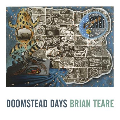 Doomstead Days, Brian Teare - Paperback - 9781643620022